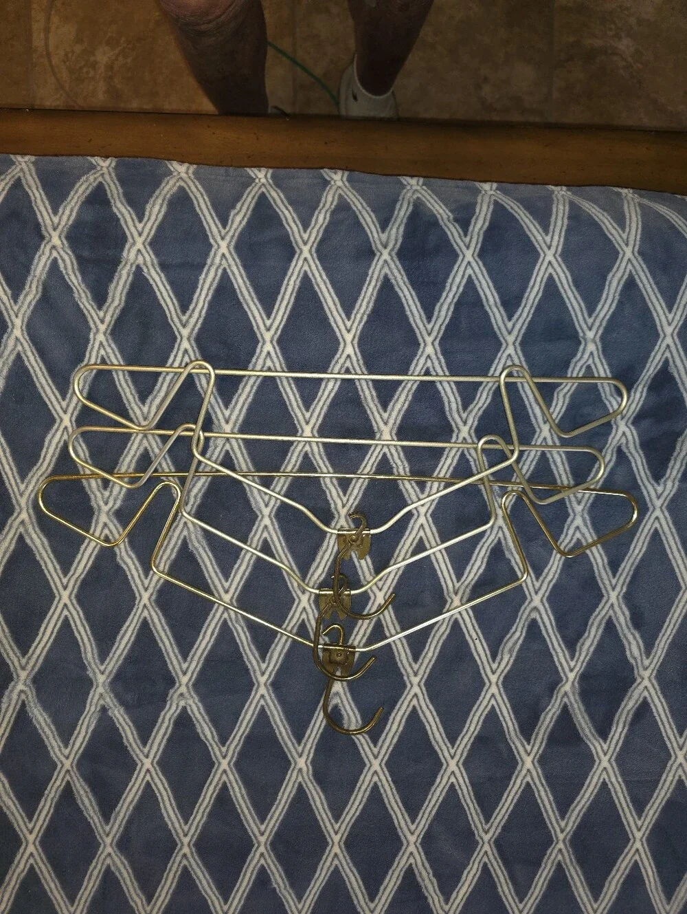 Louis Vuitton Brown Monogram Garment Carrier with Tan Trim